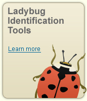 identification-tools-1083.php