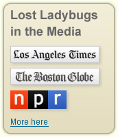 Lost Ladybugs in the Media