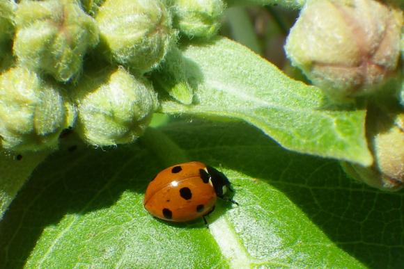 10082_112_M.jpg