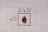 1202_3_T.jpg
