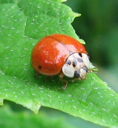 1206_1_M.jpg