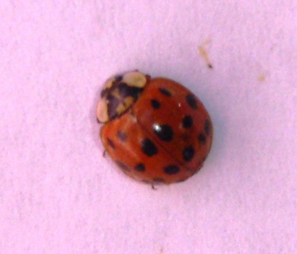 1269_10_M.jpg