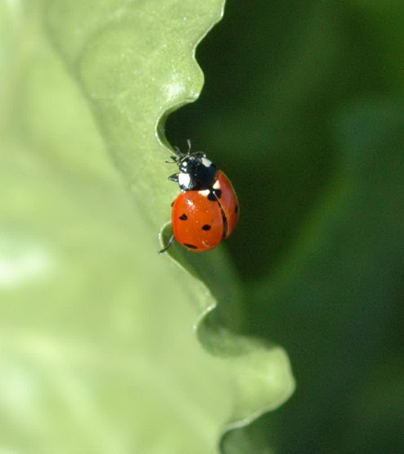1400_16_M.jpg