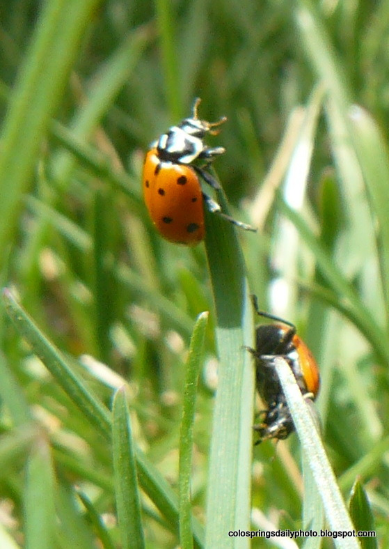 1701_6_M.jpg