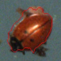 3022_17_M.jpg