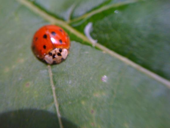 4172_17_M.jpg