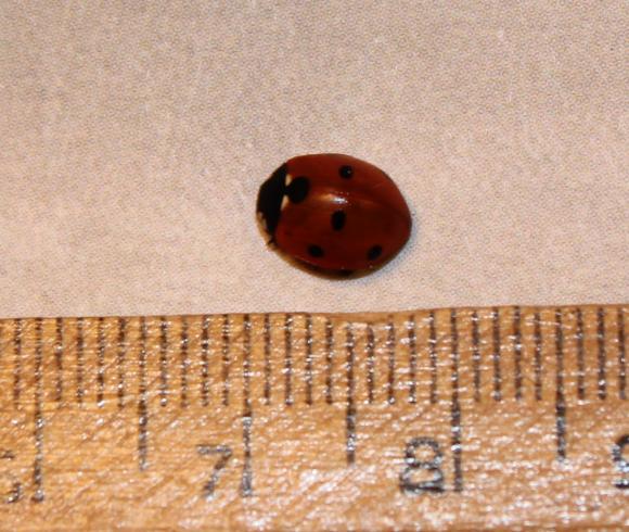 5749_12_M.jpg