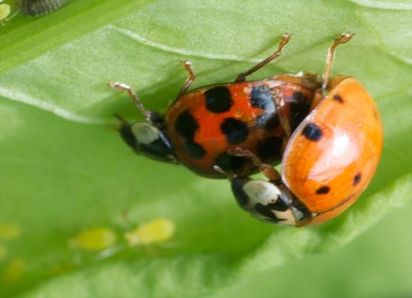 5837_6_M.jpg