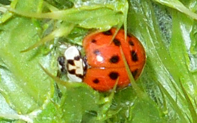 6277_2_M.jpg
