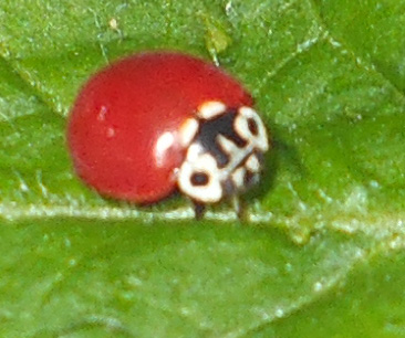 6392_9_M.jpg