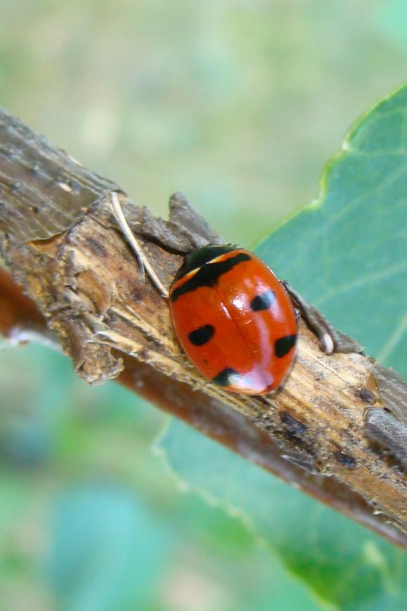 6434_54_M.jpg
