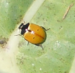 6649_23_M.jpg