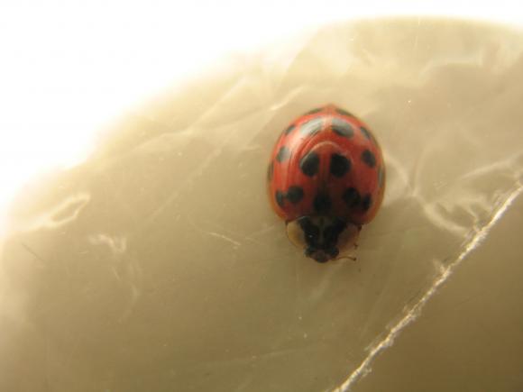 6776_6_M.jpg
