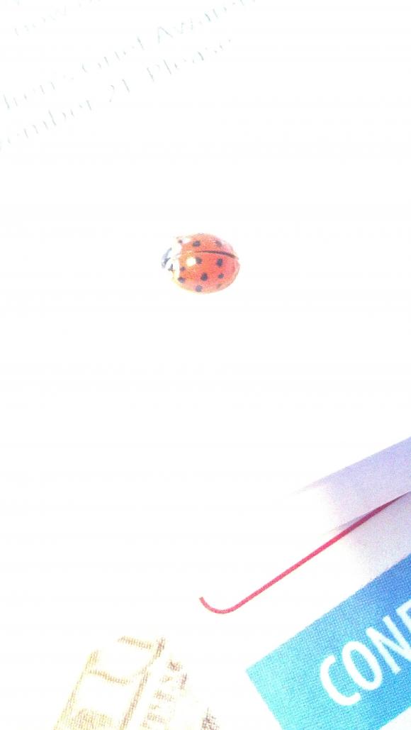 8970_1_M.jpg